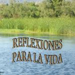 Reflexiones para la vida